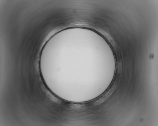 X0000101231374200807251124