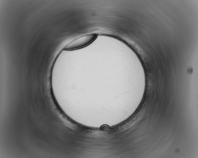 X0000101231375200807251124