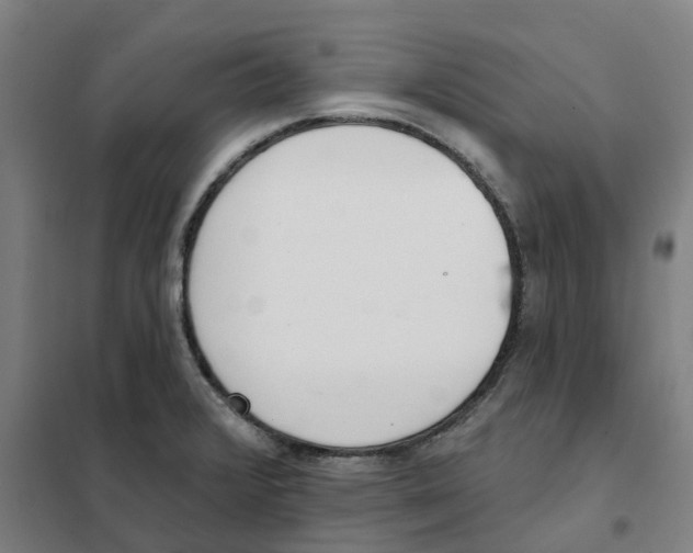 X0000101231376200807251124