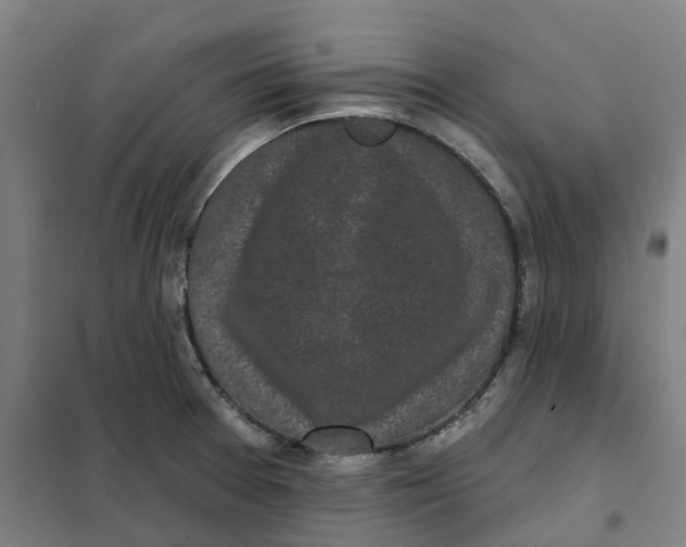 X0000101231377200807251124