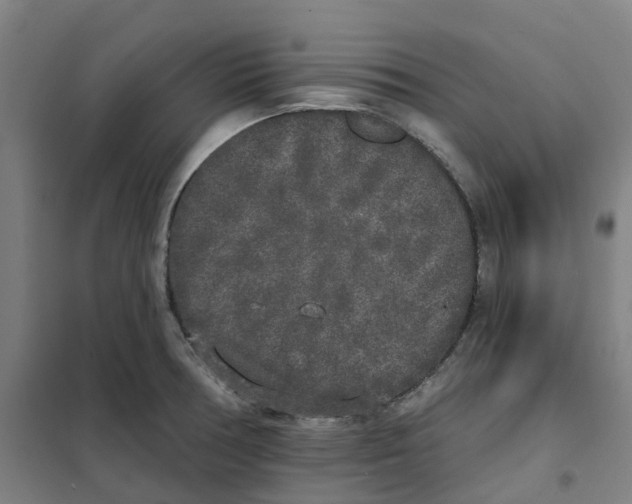 X0000101231378200807251124