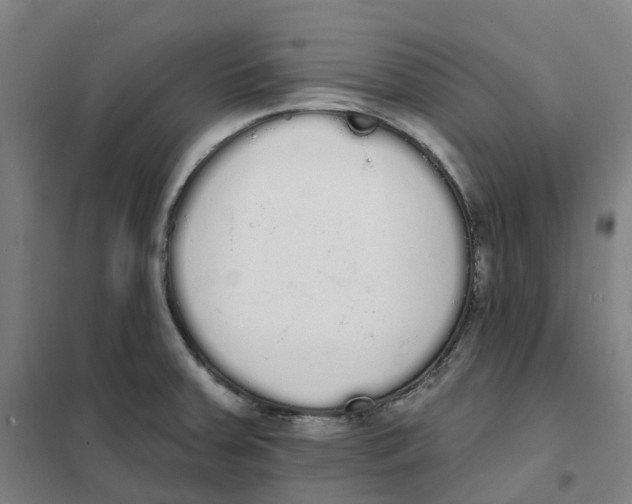 X0000101231379200807251124