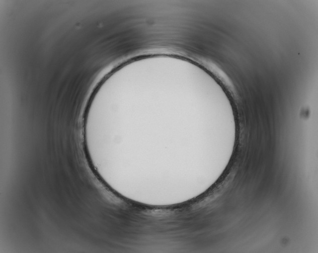 X0000101231380200807251124