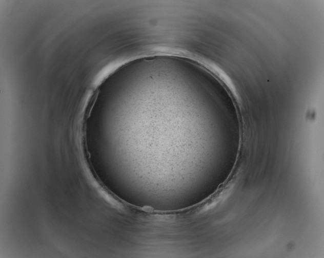 X0000101231381200807251124