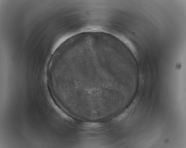 X0000101231382200807251124