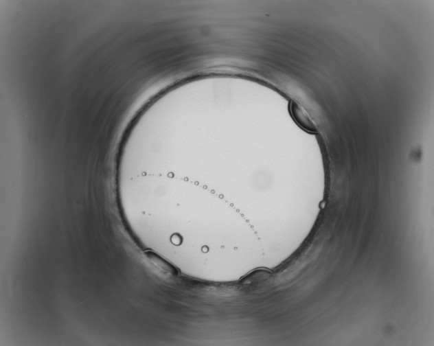 X0000101231384200807251124
