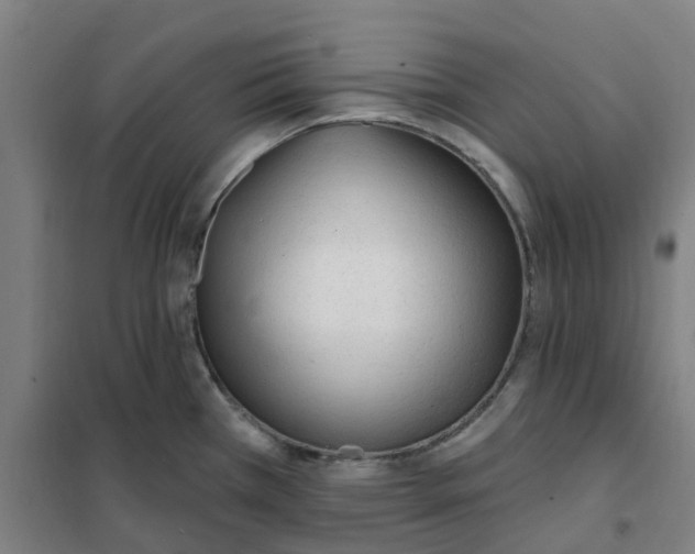 X0000101231385200807251124