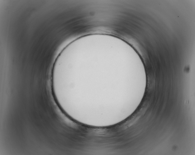 X0000101231387200807251124