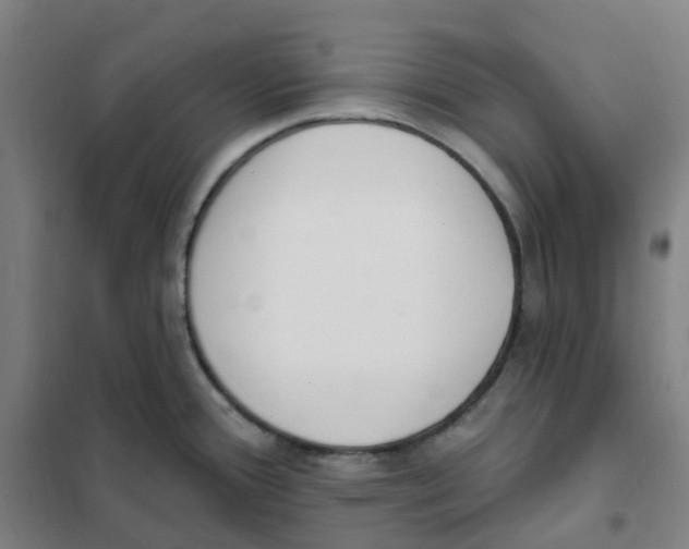 X0000101231388200807251124