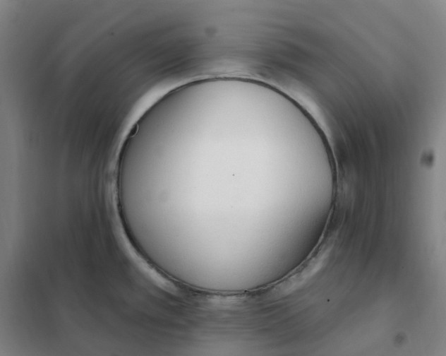 X0000101231389200807251124