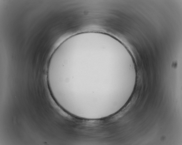 X0000101231390200807251124