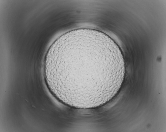 X0000101231391200807251124