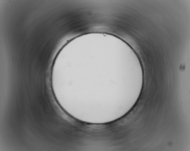 X0000101231392200807251124