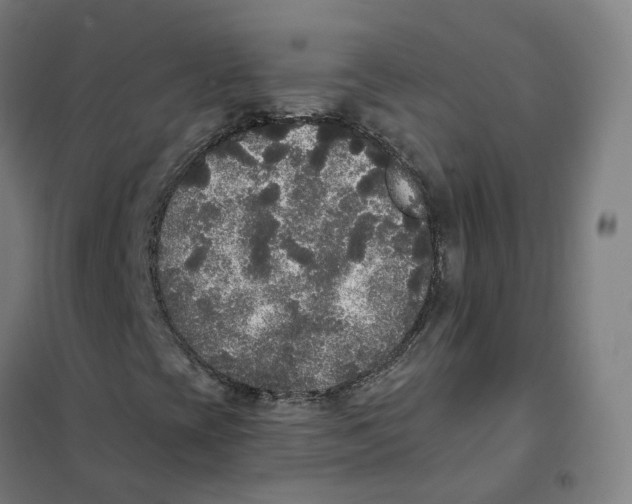 X0000101231393200807251123