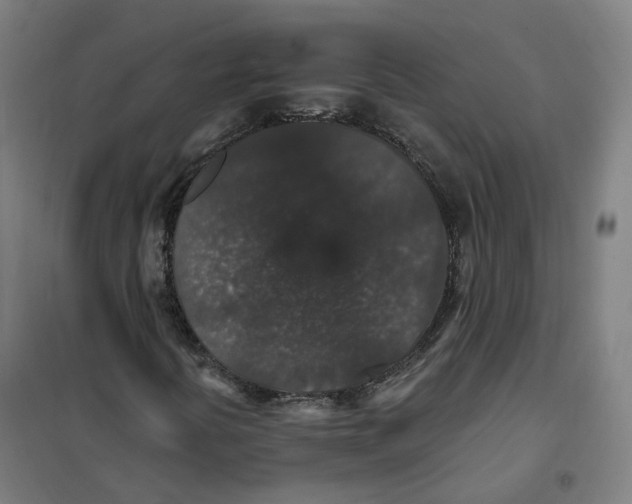 X0000101231394200807251123