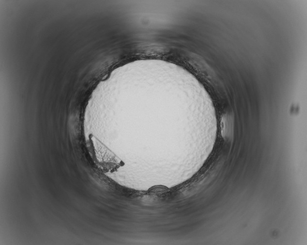 X0000101231395200807251123