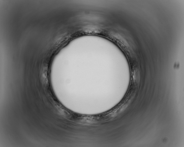 X0000101231396200807251124