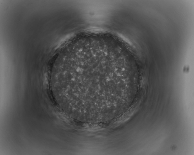 X0000101231397200807251124