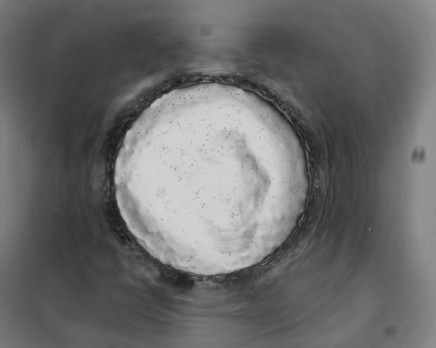 X0000101231398200807251124