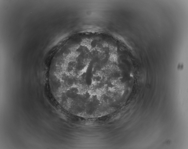 X0000101231399200807251124