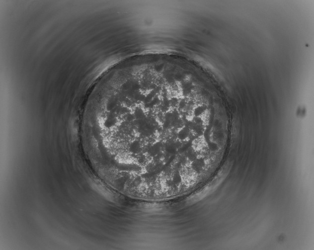 X0000101231401200807251124