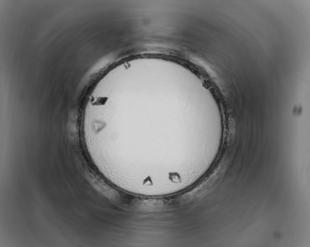 X0000101231403200807251124