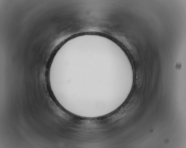 X0000101231404200807251124