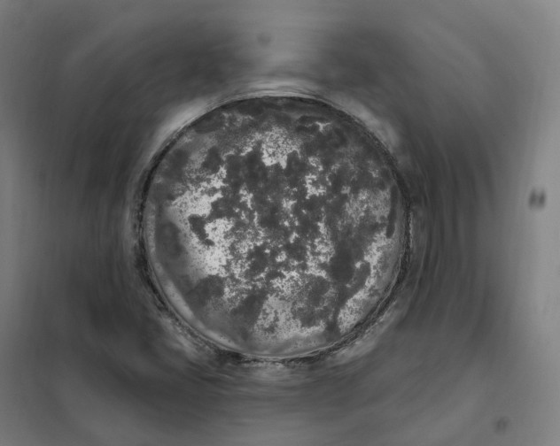 X0000101231405200807251124