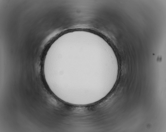 X0000101231406200807251124