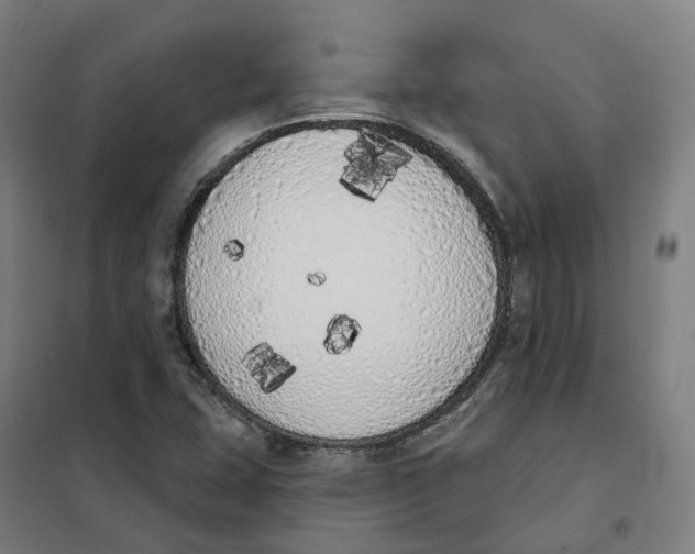X0000101231407200807251124