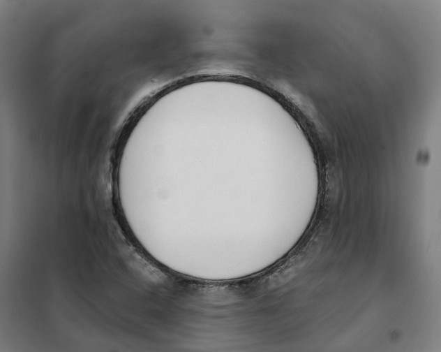 X0000101231408200807251124