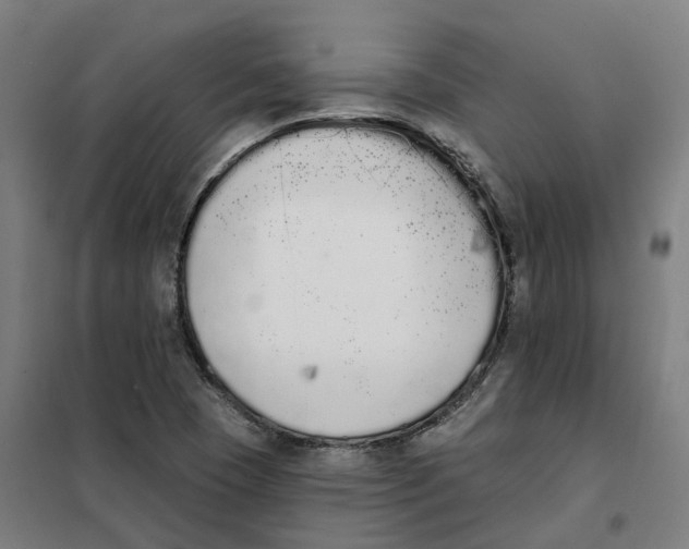 X0000101231409200807251124
