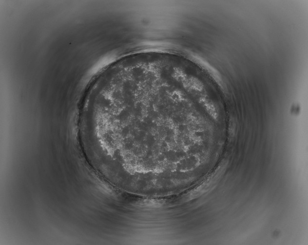 X0000101231411200807251124