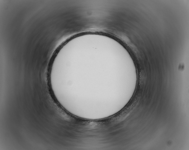 X0000101231412200807251124