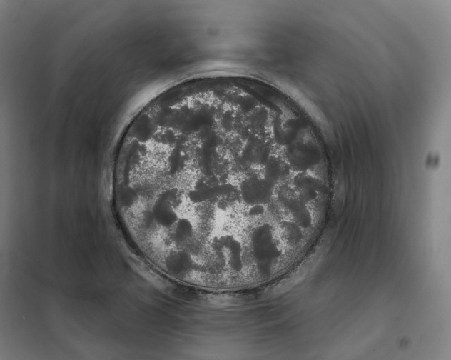 X0000101231413200807251124