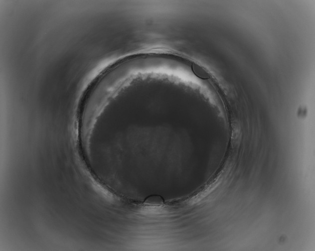 X0000101231414200807251124
