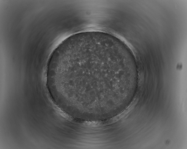 X0000101231415200807251124