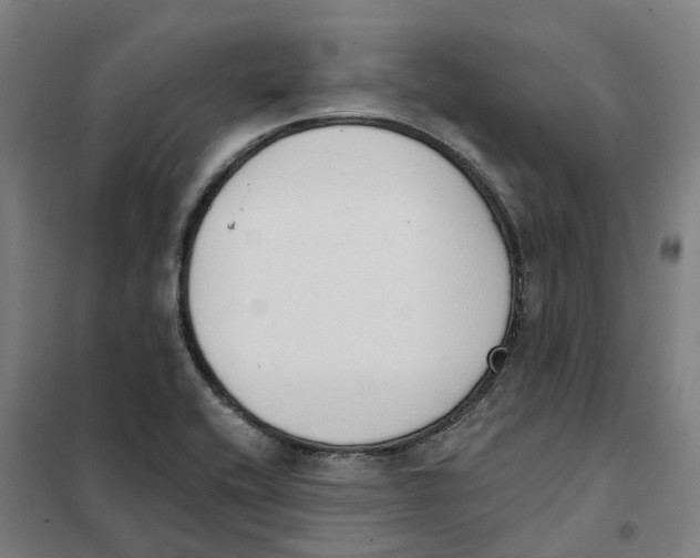 X0000101231416200807251124