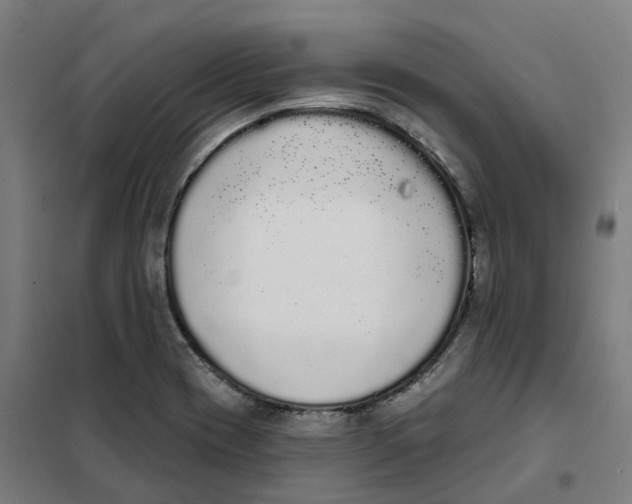X0000101231417200807251124