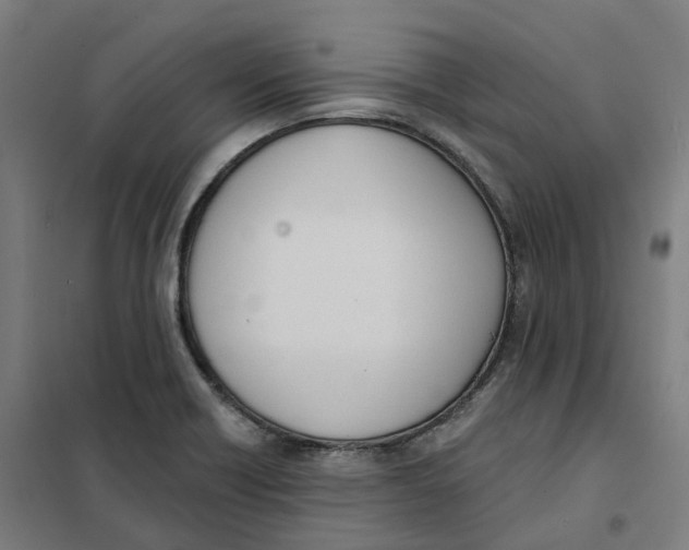 X0000101231418200807251124