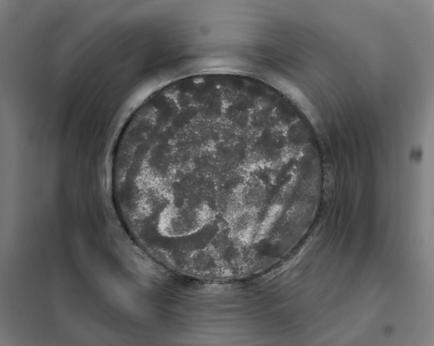 X0000101231419200807251124
