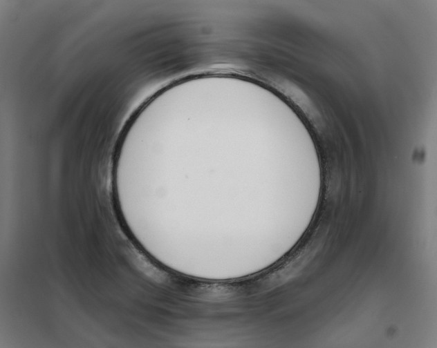 X0000101231420200807251124
