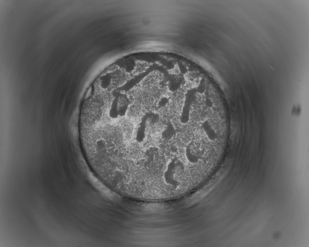 X0000101231421200807251124