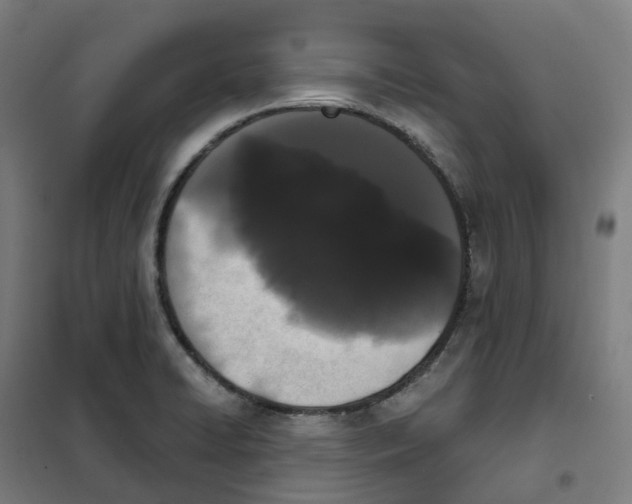 X0000101231422200807251124