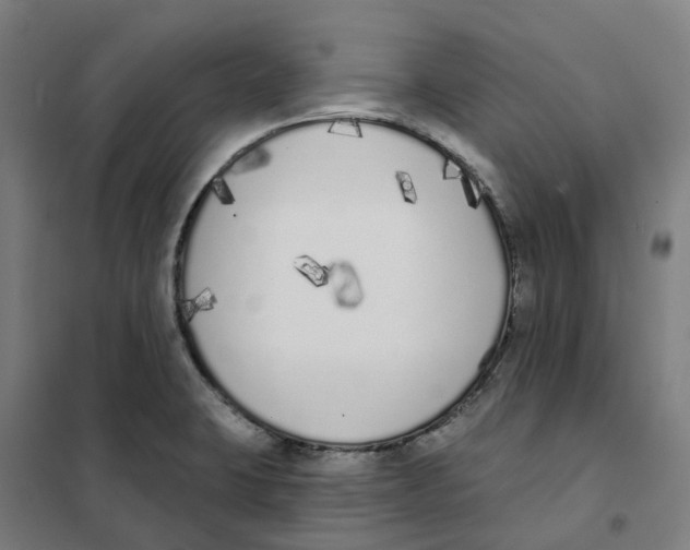 X0000101231423200807251124