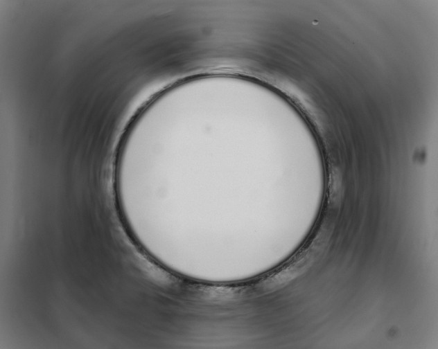 X0000101231424200807251124