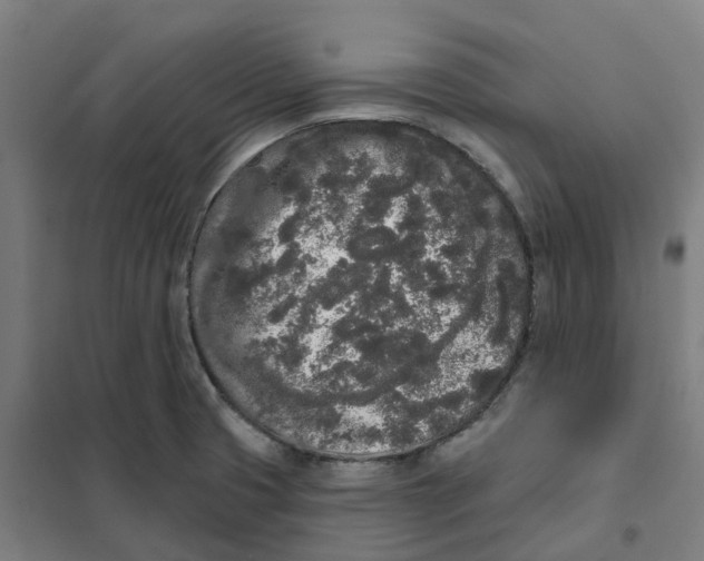 X0000101231425200807251124