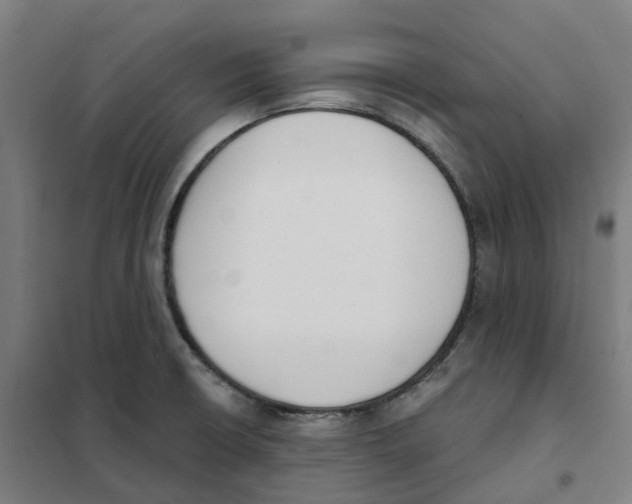 X0000101231426200807251124