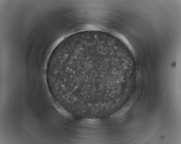 X0000101231427200807251124