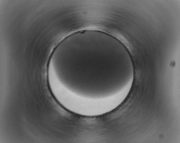 X0000101231428200807251124